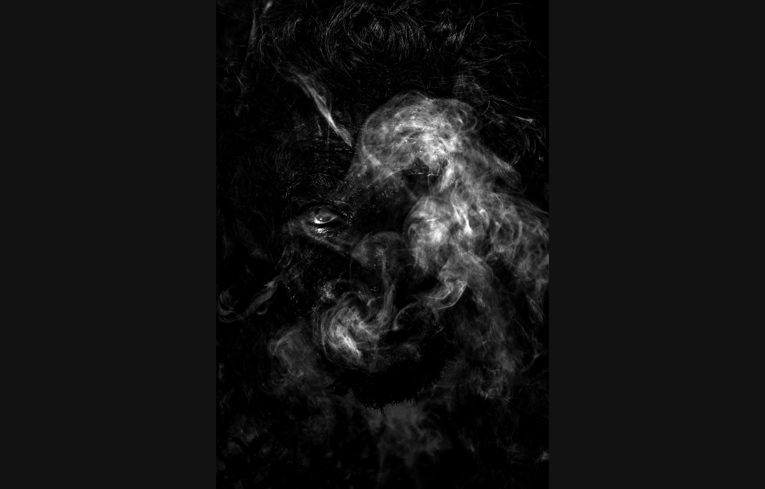 ©gregorygaydu / portrait Noir Foncé n°26 - homme de face qui fume