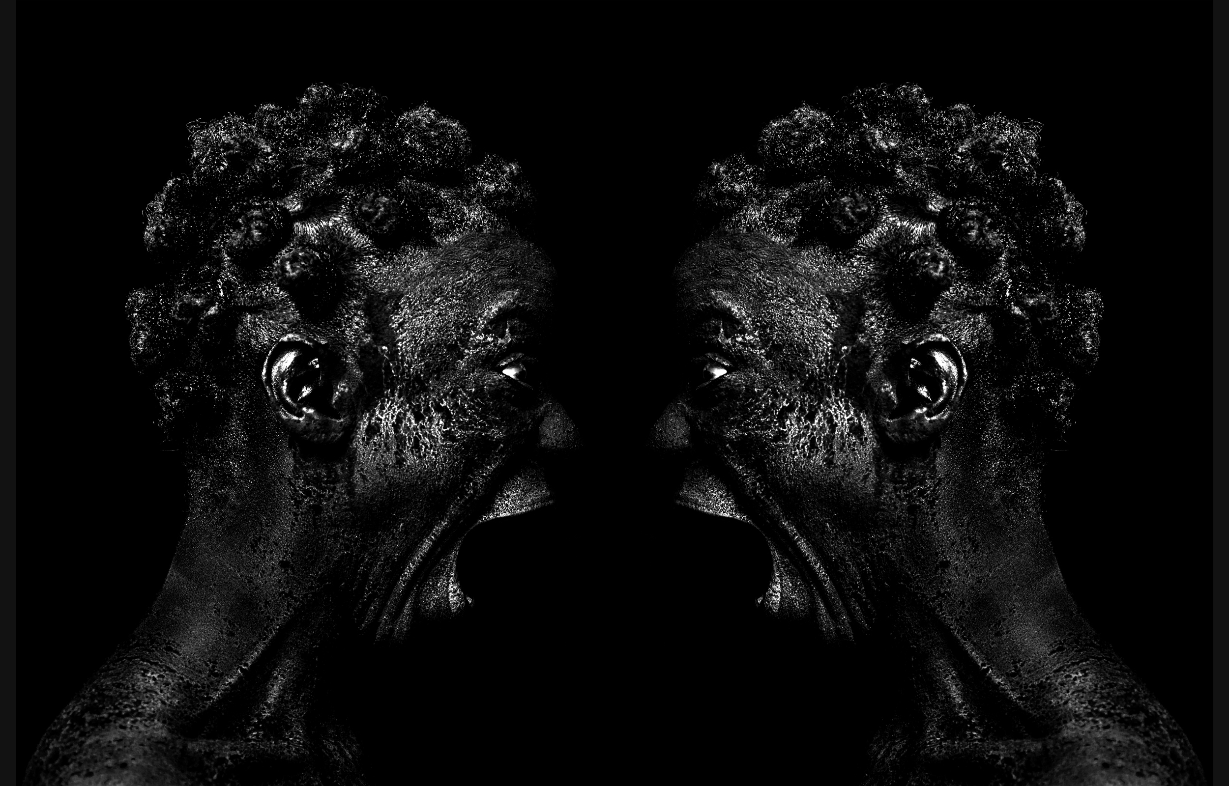 ©gregorygaydu / portrait Noir Foncé n°29 - 2 jumelles face à face